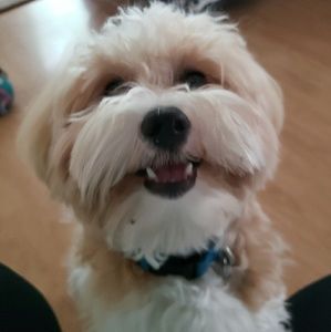 Meet your Posher, Stef